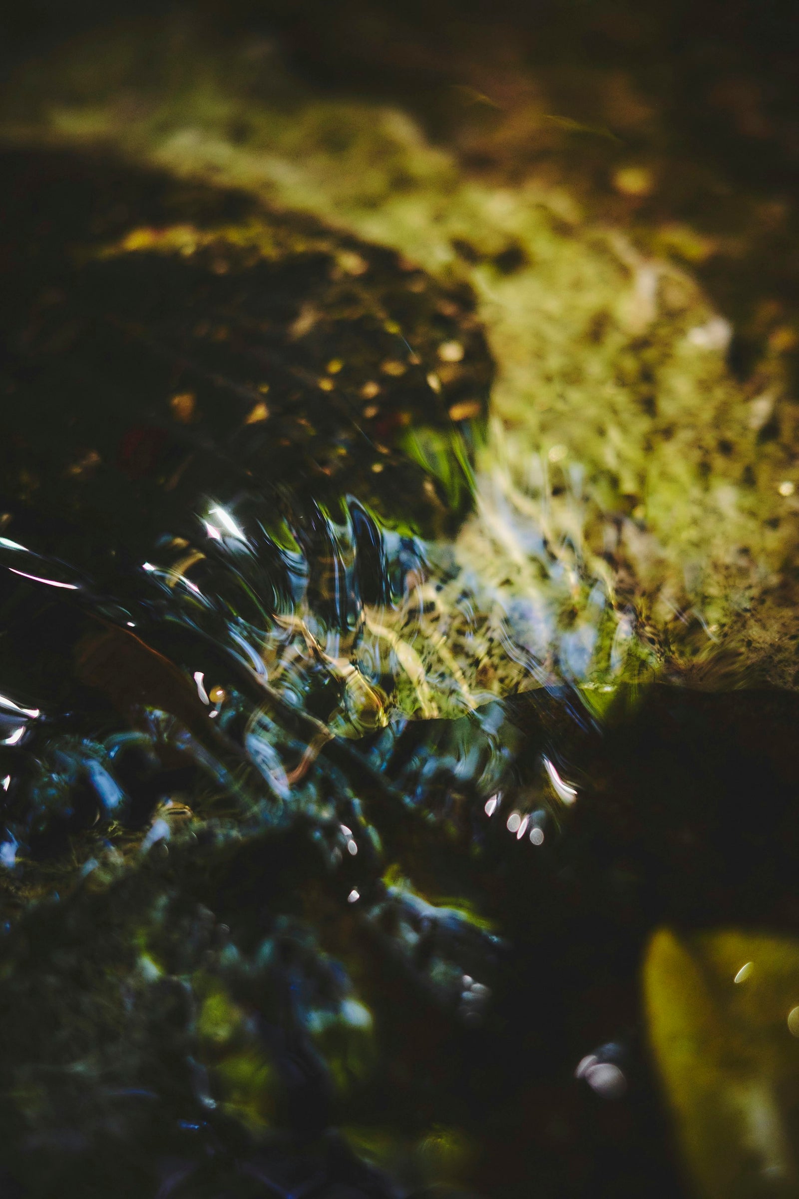 Ripples on still water after a stone has skipped
