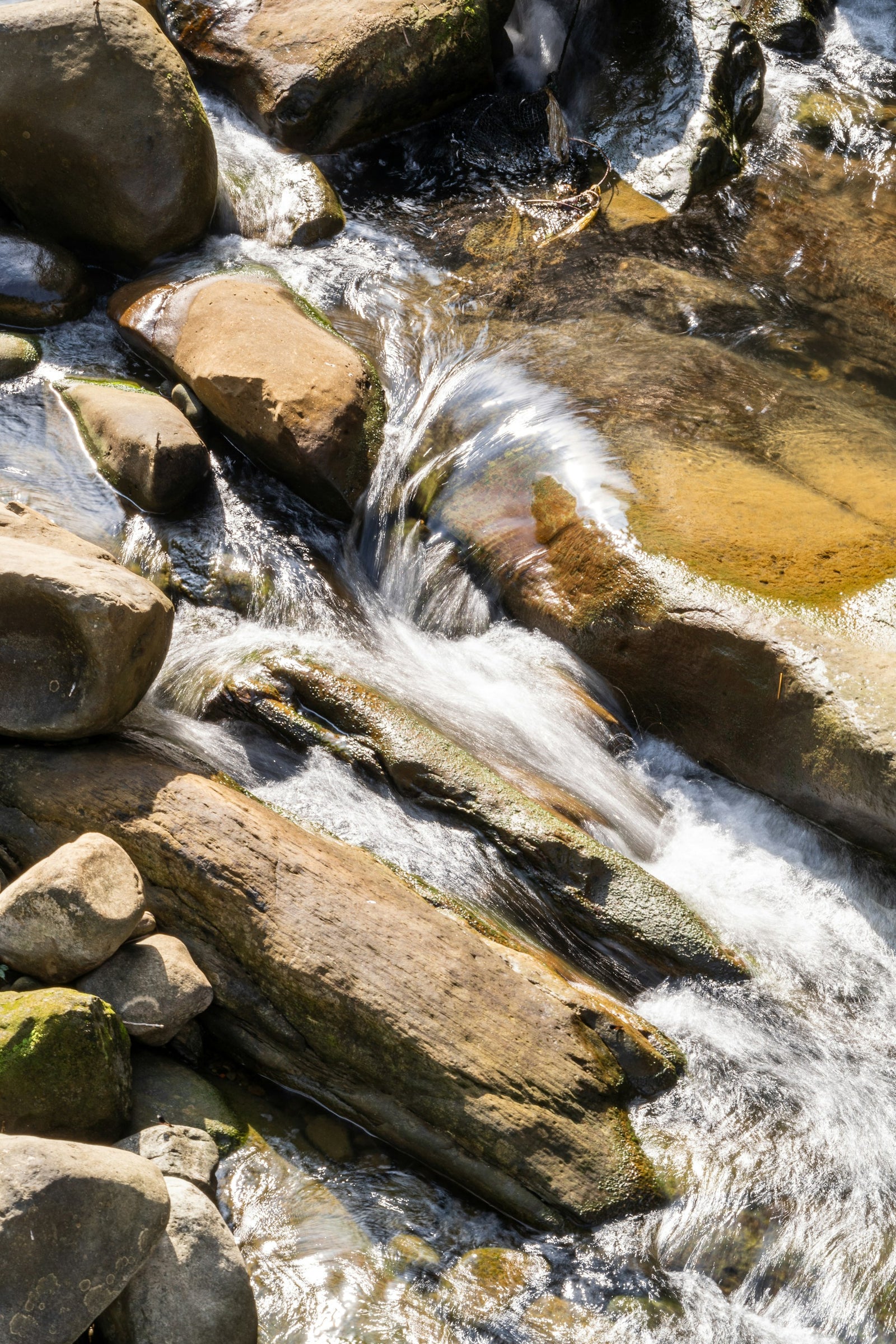 A bed of river stones sorted by water